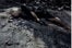 vogue-italia-water-oil-spill-8