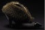 fur-hedgehog-shoe