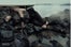 vogue-italia-water-oil-spill-12