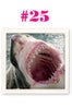 29-facts-about-refinery29-25a