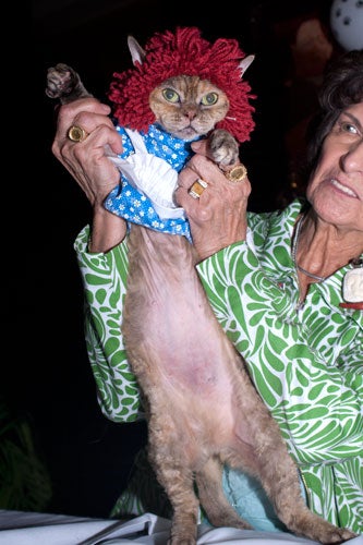 cat-fashion-show-49