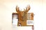 13_MOOSE-DSCF2402