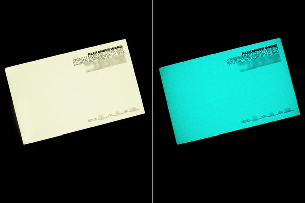 alexanderWang_R
