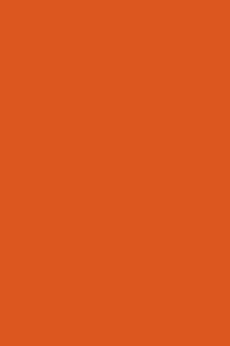 Burnt-Orange---SW-6884-Obstinate-Orange-