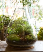 5 Inspiring (& Easy!) DIY Urban Gardens opener