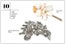 beauty-products-hair-clip