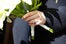022_22_028_28_CityHallWeddingsDay02_220
