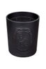 Diptyque-Baies-Large-Indoor-&-Outdoor-Candle