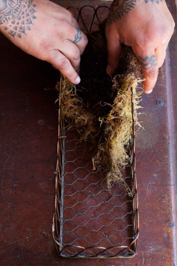 12_MOSS_CRATE_STEP_1