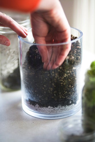 diy gardening project