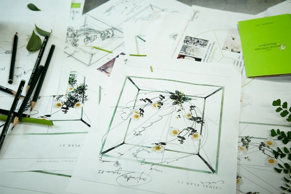 sketches