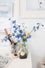 003_002_StudioVignettes