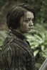 arya