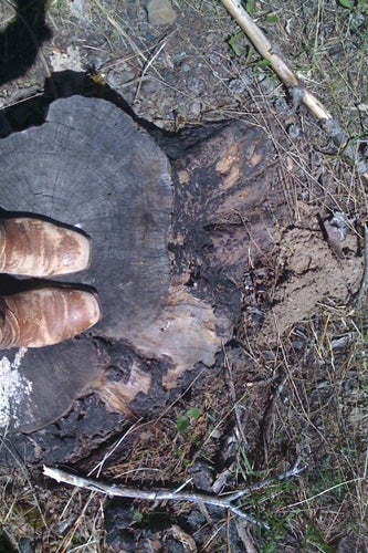 FEET