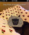 breadit_opener