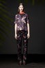 ARAKS AW13 18