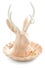 04-ModCloth_Myth-Jackalope_55