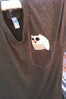 owl 31