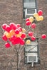 balloons