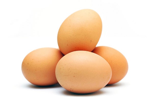 eggs