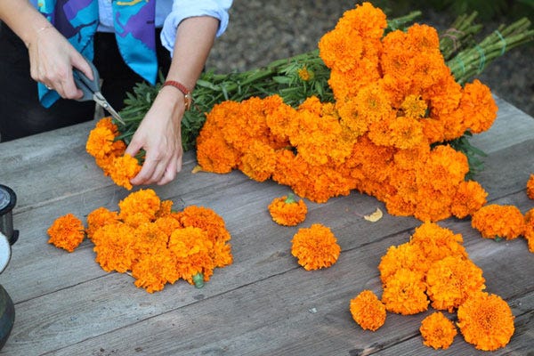 Flower Power: How to Make a Marigold Chain