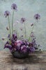 RealDandelion