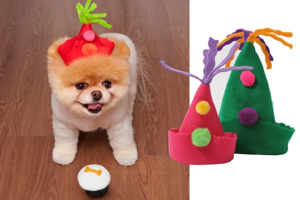 boo dog fashion