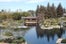 15_16_the-japanese-garden-1