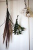 diy gardening project