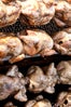chickens