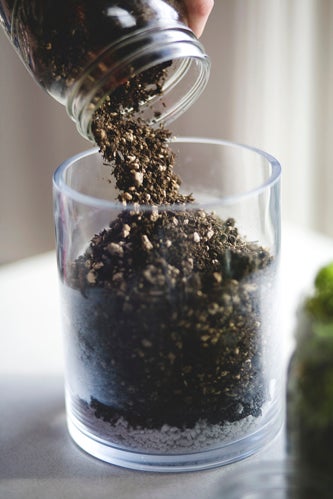 diy gardening project