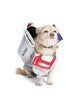04_Macaroon_ChiB_Mutt_York