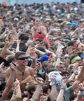 lolla thumb 1