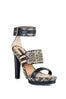 bcbg-4