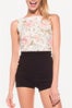Wildfox 4