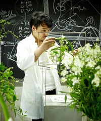 Snapshots From Our Very Green Tokyo Trip, A Photo Diary makoto-working-thumb