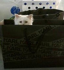 choupettebag_2241426a-1