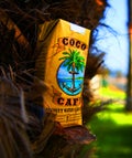 coconut