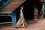 021_Kenzo_FW13_NinaW62