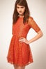 asos-lacewaisteddresswithcontrastlining-81