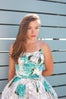 06 hires-aqualillies-1075