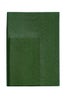 moleskin