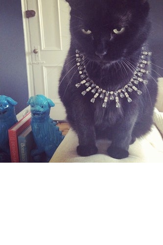 richcat2 - edited