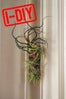 diy gardening project
