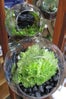 hostess gifts ideas