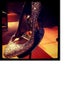 Shoe Stalking San Francisco