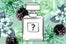 perfumes-5