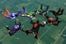 Chicagoland_Skydiving_Center