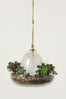 terrarium-998