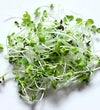 microgreens-opener